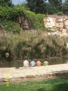 (l-r) Ds9, ds6, ds4, ds2 cooling their  legs opposite the waterfall